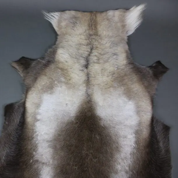 XX Large Reindeer Hide Rug R1190