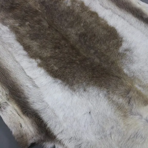 XX Large Reindeer Hide Rug R1191