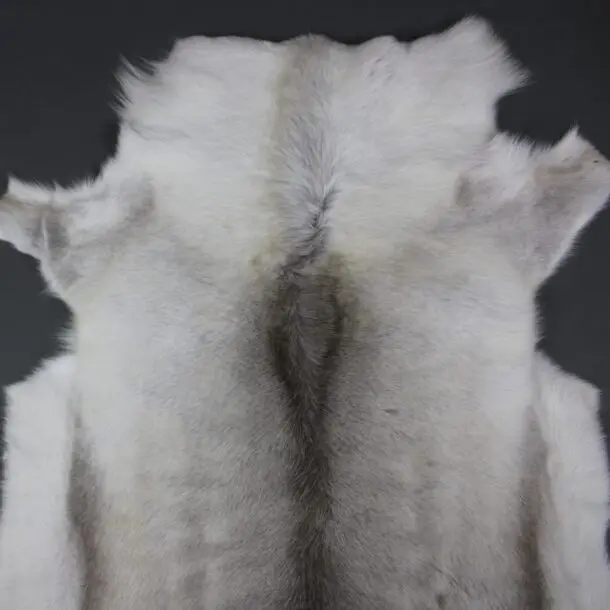 Reindeer Hide Rug R1194