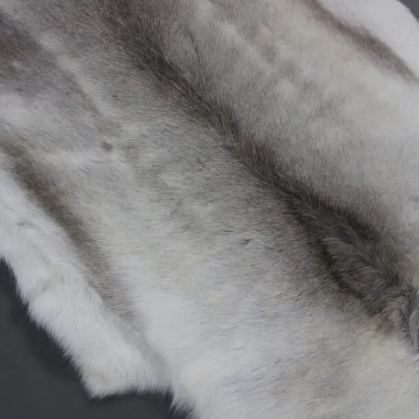 Reindeer Hide Rug R1194