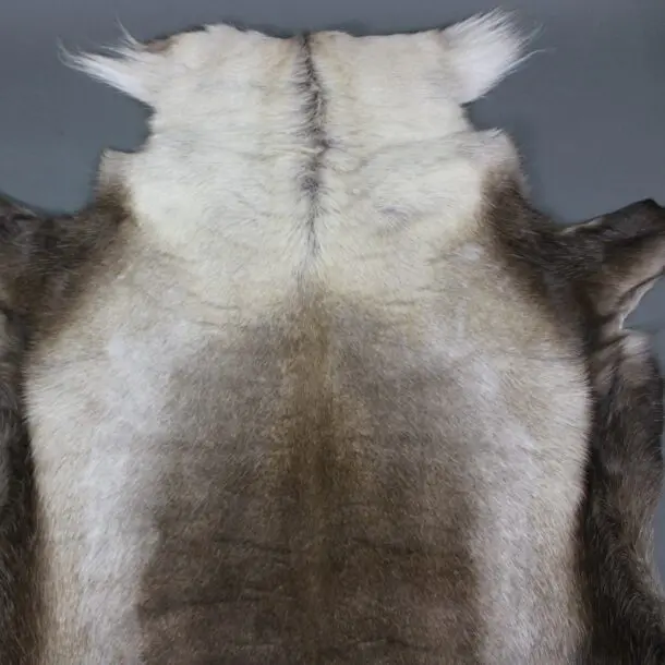 Large Reindeer Hide Rug R1203