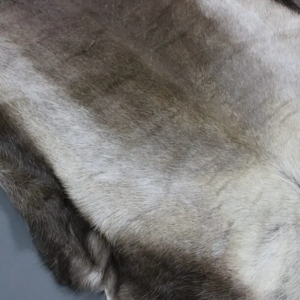 Large Reindeer Hide Rug R1203