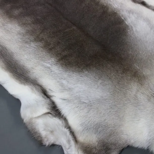 Large Reindeer Hide Rug R1205