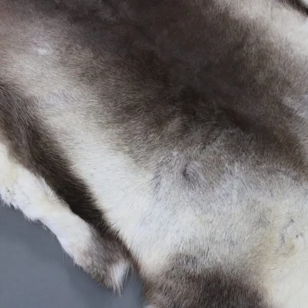 Large Reindeer Hide Rug R1206