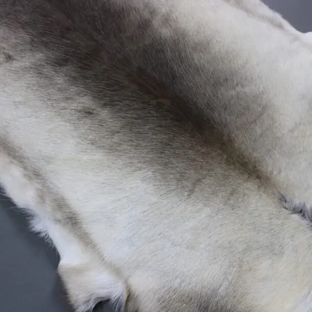 X Large Reindeer Hide Rug R1209