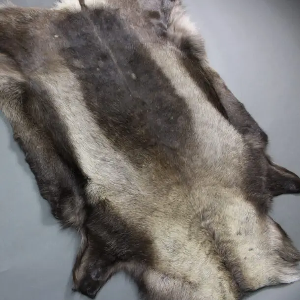 Reindeer Hide Rug R1210