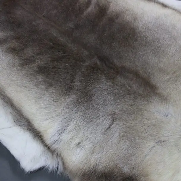 XX Large Reindeer Hide Rug R1211