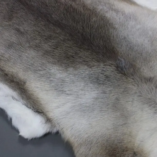 Large Reindeer Hide Rug R1213