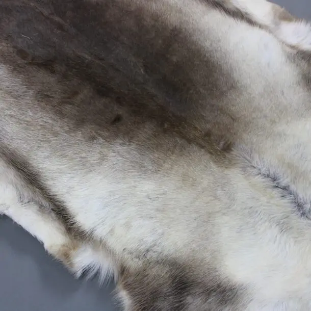XX Large Reindeer Hide Rug R1215