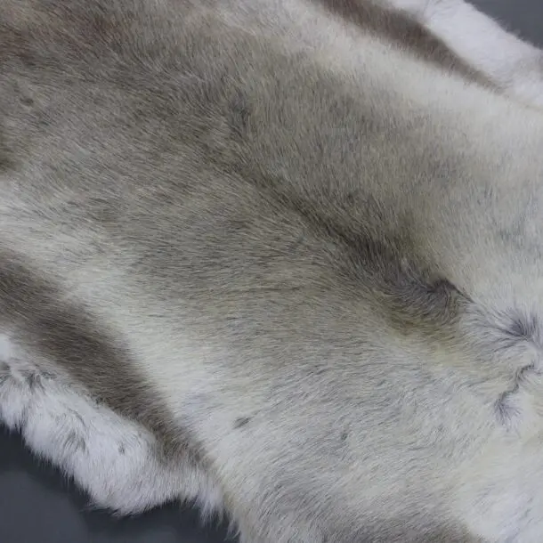 Reindeer Hide Rug R1218
