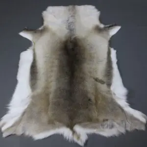 Reindeer Hide Rug R1221