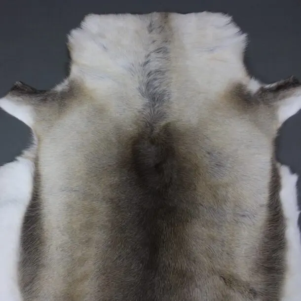 Reindeer Hide Rug R1221