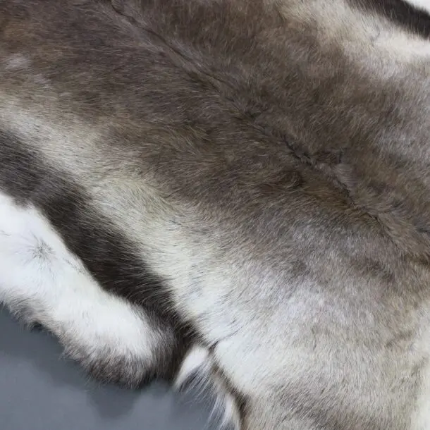 XX Large Reindeer Hide Rug R1223