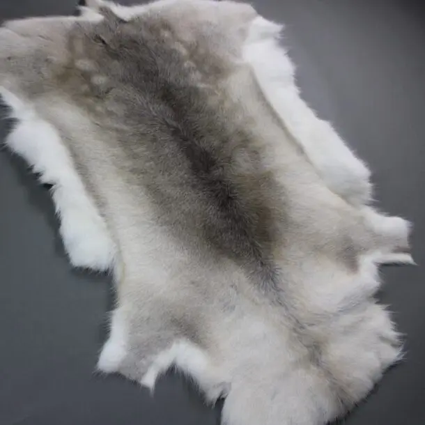 Reindeer Hide Rug R1226