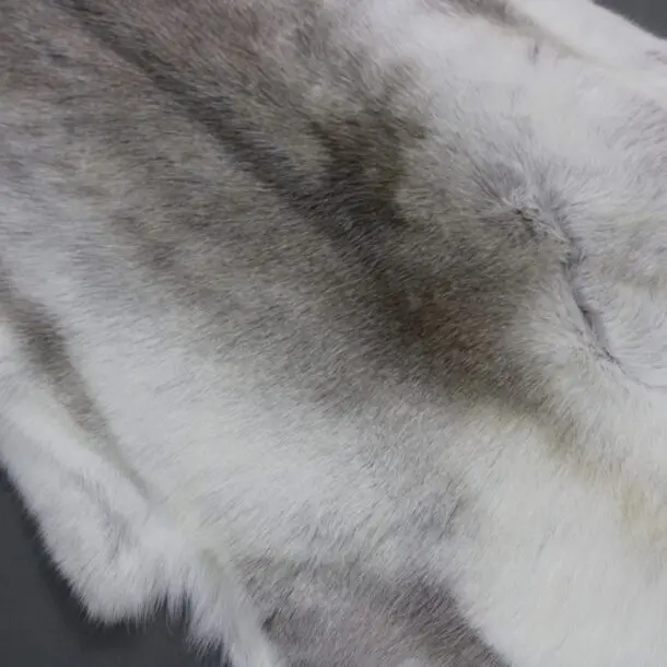 Reindeer Hide Rug R1227