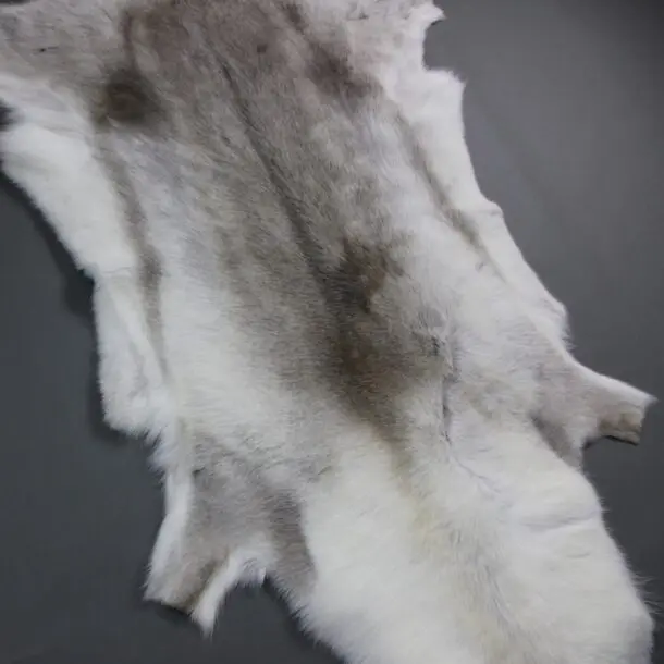 Reindeer Hide Rug R1227