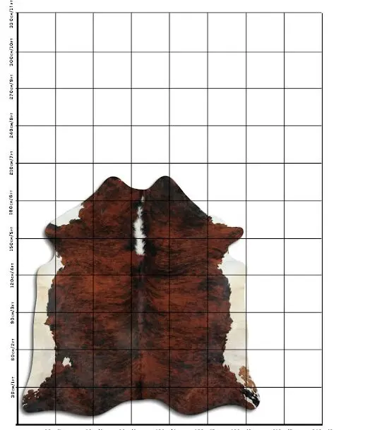 Cowhide Rug Exotic C01036