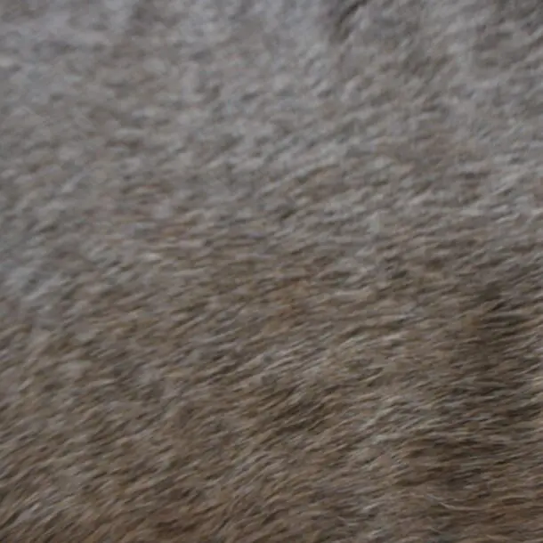 Cowhide Rug Tan Grey C01037