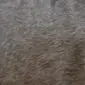 Close-up of a cowhide rug featuring a dense texture of tan and grey natural hair.