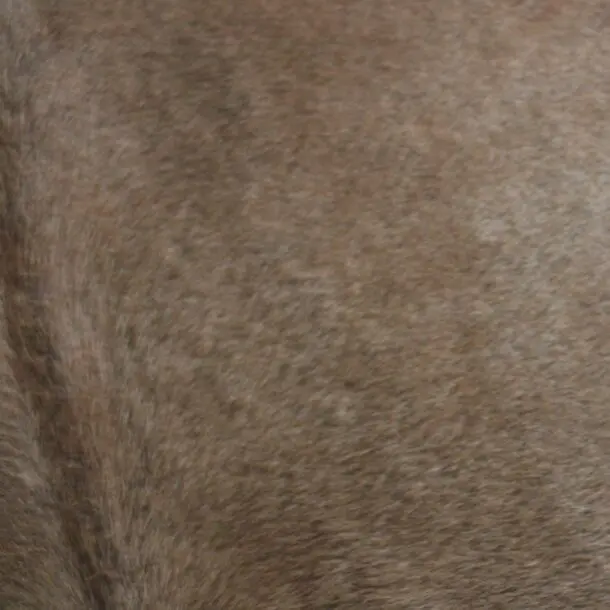 Cowhide Rug Tan Grey C01037
