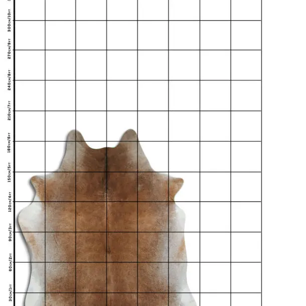 Cowhide Rug Tan Grey C01037