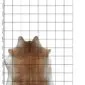 Natural cowhide rug with tan and grey markings, displayed on a measuring grid.
