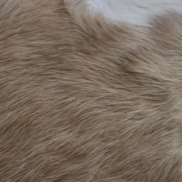 Cowhide Rug Exotic Beige C01039