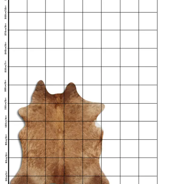 Cowhide Rug Exotic Beige C01039
