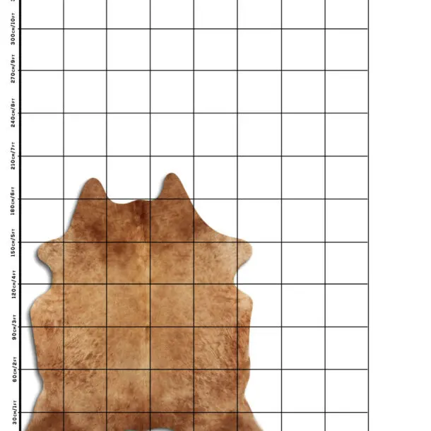 Cowhide Rug Exotic Beige C01040