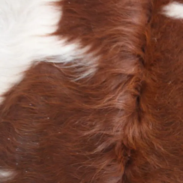 Cowhide Rug Brown and White C01041