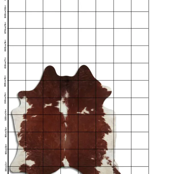 Cowhide Rug Brown and White C01041