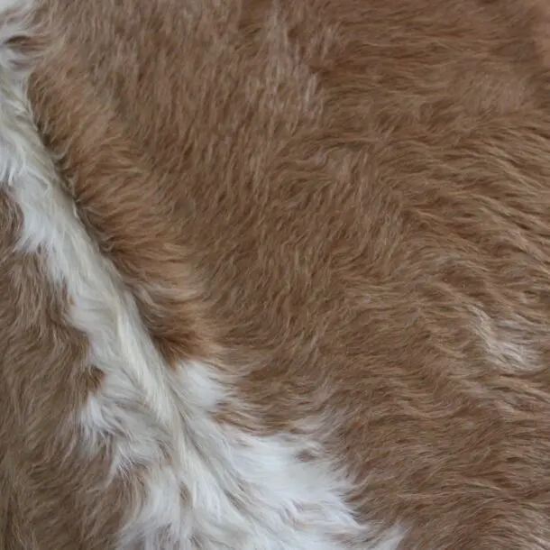 Cowhide Rug Brown and White C01042