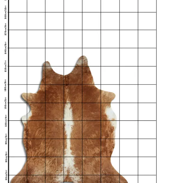Cowhide Rug Brown and White C01042