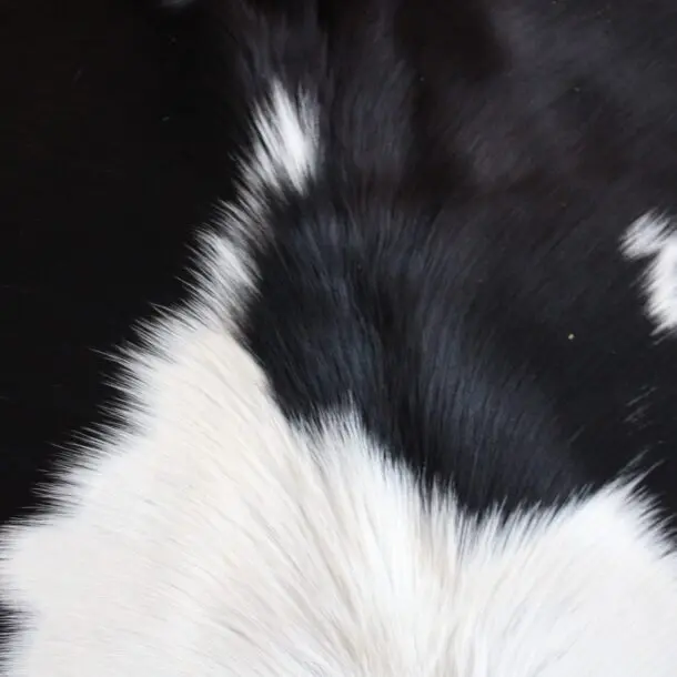 Cowhide Rug Exotic C01043