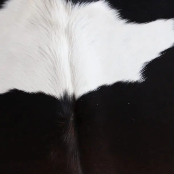 Cowhide Rug Exotic C01043
