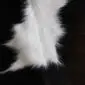 Close-up of a cowhide rug featuring long white fur .