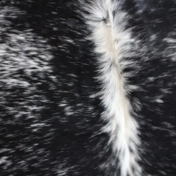 Cowhide Rug Speckled C01046
