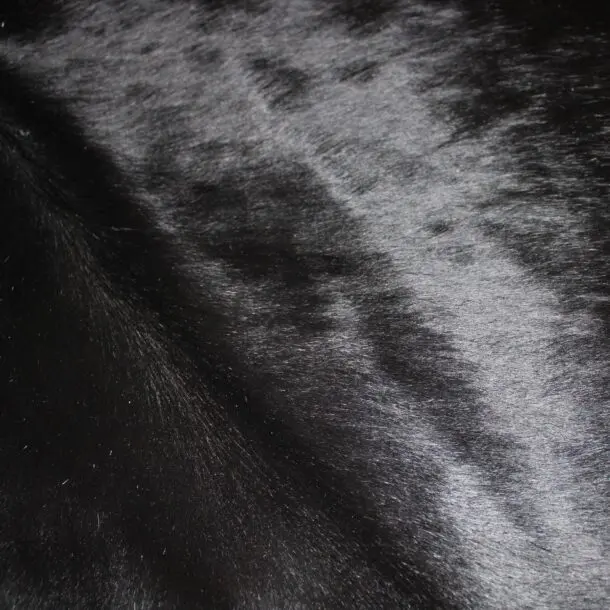 Cowhide Rug Natural Black C01047