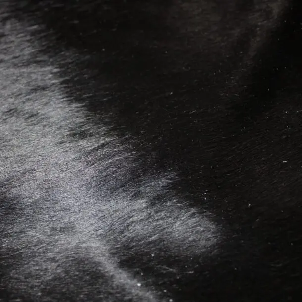 Cowhide Rug Natural Black C01047