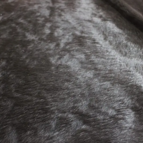 Cowhide Rug Natural Black C01048