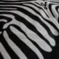 Close-up of a zebra print cowhide rug showing black and off-white striped patterns and natural hair texture.