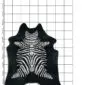 Natural shaped cowhide rug with a black and white zebra print pattern, displayed on a measured grid background.