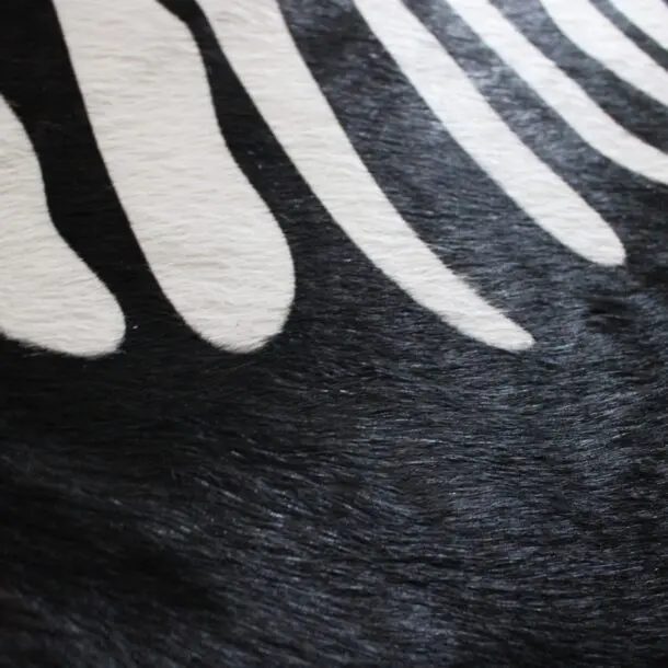 Zebra Print Cowhide Rug C01051