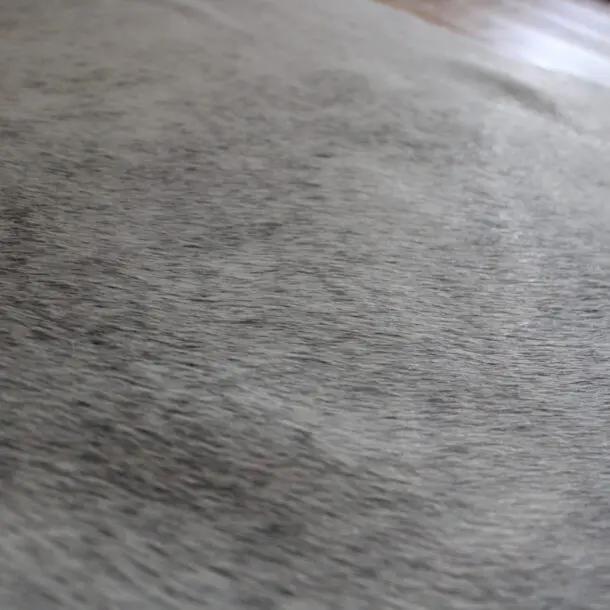 Cowhide Rug Grey C01052