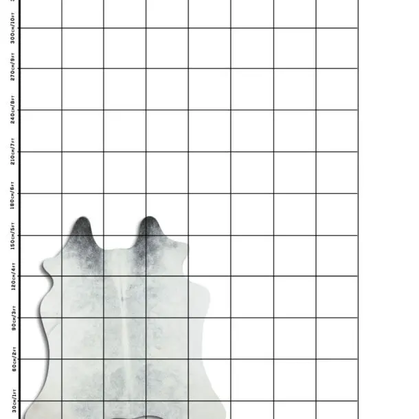 Cowhide Rug Grey C01052