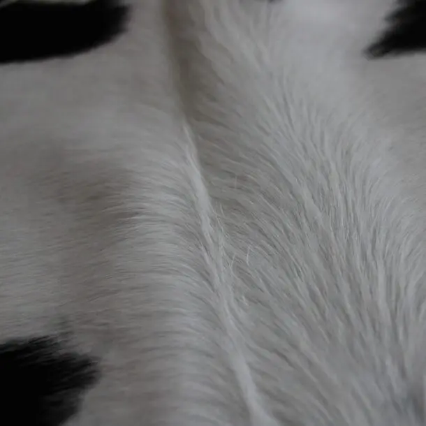 Cowhide Rug Black and White C01053