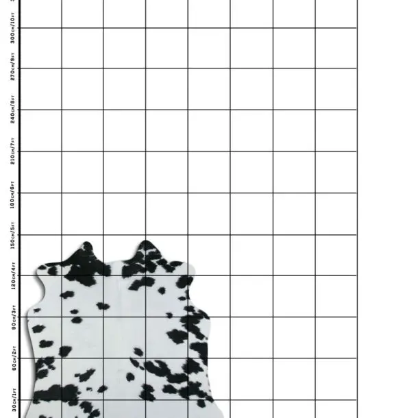 Cowhide Rug Black and White C01053