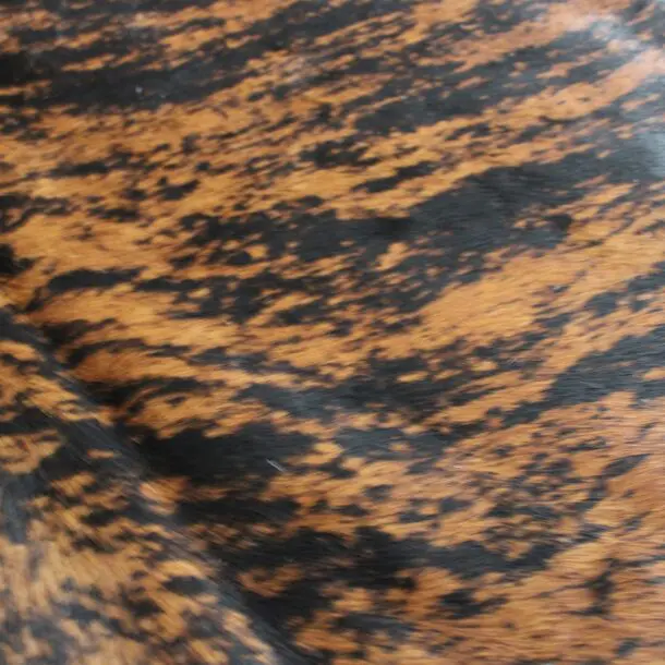 Cowhide Rug Exotic C01054