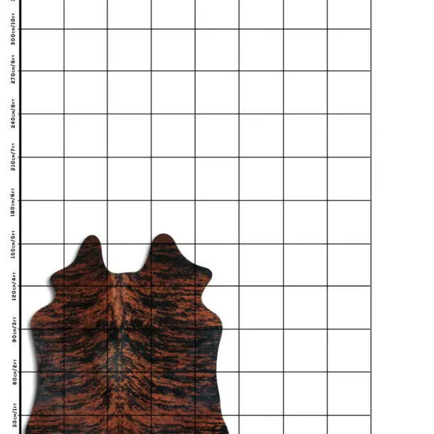 Cowhide Rug Exotic C01054