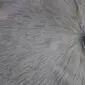 Close-up of a grey cowhide rug showing the natural hair texture and tonal variations. detail view detail view